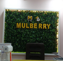 Mulberry Gynecology Clinic